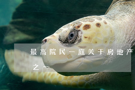 最高院民一庭：关于房地产纠纷案件意见汇总之一