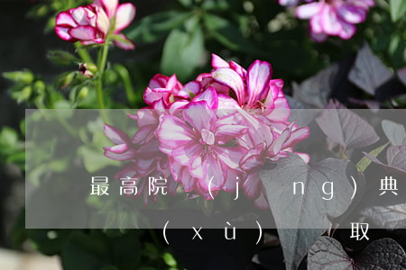 最高院經(jīng)典判決：銀行因虛假承諾“續(xù)貸”，騙取過橋方資金，需要依法賠償過橋方本金及利息損失?。?！