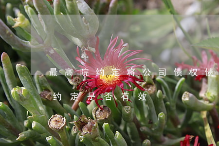 最高院:约定将公司债权债务剥离给原股东的约定是否有效 最高院:约定将公司债权债务剥离给原股东的约定是否有效