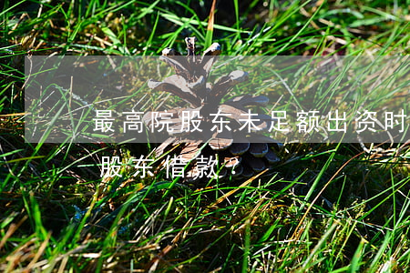 最高院：股东未足额出资时公司可否因此抵销股东借款？