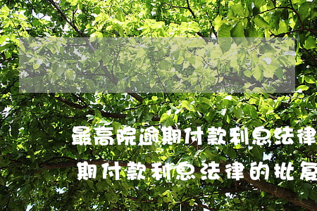 最高院逾期付款利息法律的批复-最高院逾期付款利息法律的批复是什么