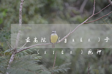 最高院關(guān)于逾期實(shí)現(xiàn)抵押權(quán)判例-最高院關(guān)于逾期實(shí)現(xiàn)抵押權(quán)判例的規(guī)定