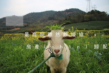 最高院：雖然離婚協(xié)議約定原共有房產(chǎn)歸配偶一方所有，但雙方未進行轉(zhuǎn)讓登記時則不產(chǎn)生物權(quán)的轉(zhuǎn)讓效力，該房