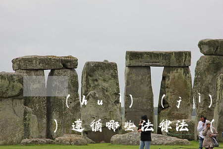 會(huì)計(jì)人員應(yīng)遵循哪些法律法規(guī)(會(huì)計(jì)人員如何遵守會(huì)計(jì)法律法規(guī))