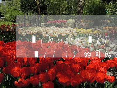 會(huì)計(jì)報(bào)表審計(jì)的目的及意義是什么