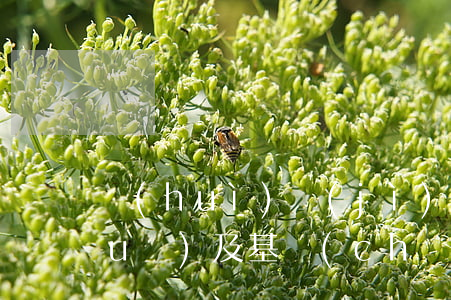 會(huì)計(jì)稅收法律法規(guī)及基礎(chǔ)知識(shí)(會(huì)計(jì)實(shí)務(wù)和稅收法規(guī)有哪些呢)