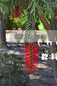 會(huì)計(jì)處理逾期貸款(逾期貸款科目核算已經(jīng)逾期的各類貸款)