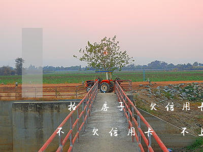 會拍賣房子嗎欠信用卡和網(wǎng)貸不還(欠信用卡還不上會拍賣房產(chǎn)嗎)
