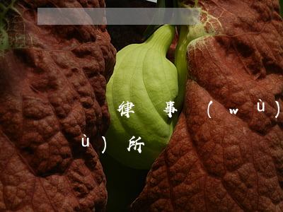 會東律師事務(wù)所(會東律師事務(wù)所電話)