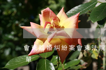 會東離婚糾紛案(會東法院公布第一批老賴名單)