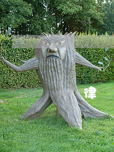 會澤律師事務所哪個好(會澤最好的律師離婚)