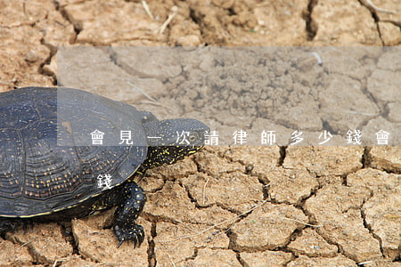 會見一次請律師多少錢(會見一次請律師多少錢)