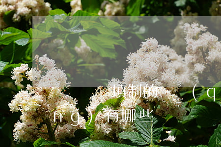 會計憑證填制的誤區(qū)與素養(yǎng)有哪些