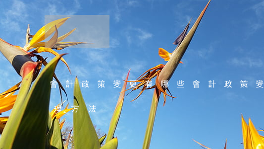會計政策變更有哪些(會計政策變更有哪些處理方法)