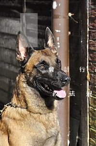 會計行政法規(guī)包括(會計法屬于行政法規(guī)嗎)