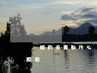 會離婚的夫妻都什么樣(離婚夫妻越來越多的原因)