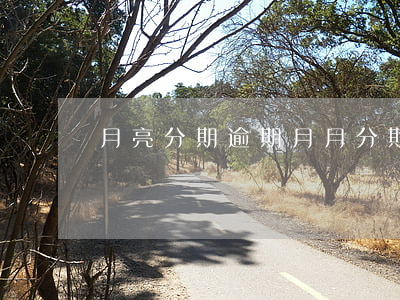 月亮分期逾期(月月分期平臺不還的后果)