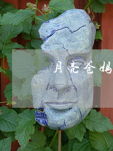 月亮爸妈闹离婚(月亮爸妈闹离婚)