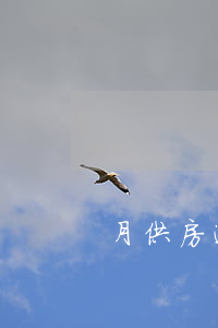 月供房逾期了怎么还款(月供逾期了怎么处理)