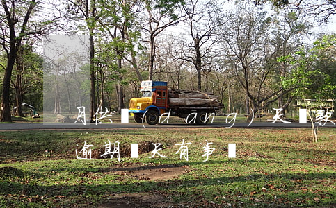月供當(dāng)天還款算不算逾期(月供逾期幾天有事嗎)