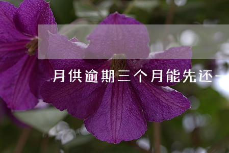 月供逾期三个月能先还一个月吗-