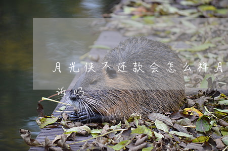 月光侠不还款会怎么样（月光侠逾期没还会起诉吗）