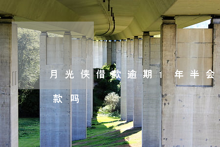 月光侠借款逾期1年半会起诉吗(月光侠还放款吗)