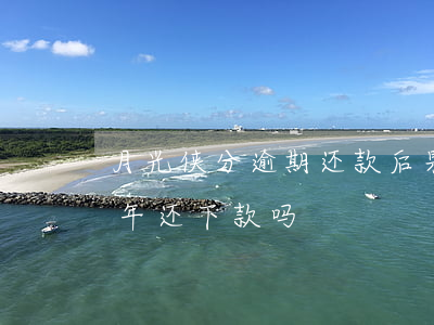 月光侠分逾期还款后果(月光侠分期2020年还下款吗)