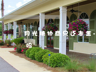 月光侠协商只还本金-月光侠可以协商还款吗