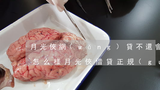 月光俠網(wǎng)貸不還會(huì)怎么樣(月光俠借貸正規(guī)嗎)