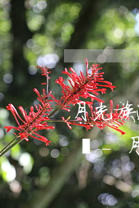 月光族逾期七天還款會(huì)影響征信嗎-月光族不還上征信嗎