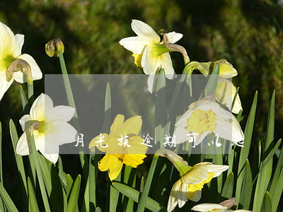 月光族逾期可以起訴嗎(月光族逾期可以起訴嗎)