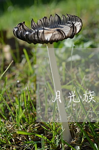 月光族逾期要起訴