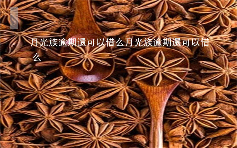 月光族逾期還可以借么(月光族逾期還可以借么)