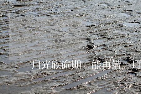 月光族逾期還能再借嗎(月光族貸款不還會怎樣)