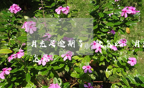 月光足逾期了還款怎么還(月光足逾期了還款怎么還)