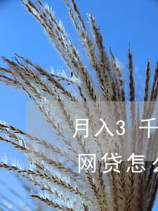 月入3千欠十几万网贷如何还(欠了三十多万网贷怎么办)