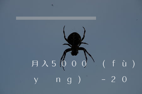 月入5000負(fù)債50萬以貸養(yǎng)貸-20萬以貸養(yǎng)貸