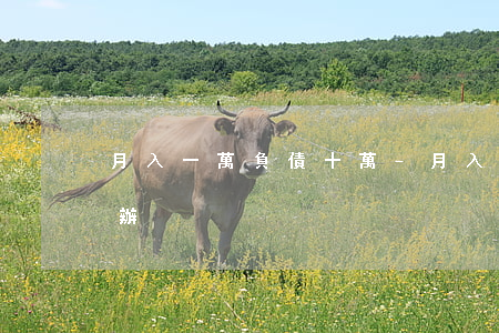月入一萬負債十萬-月入一萬負債十萬怎么辦