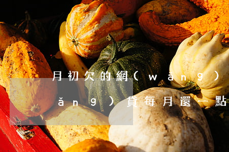 月初欠的網(wǎng)貸月底還(欠網(wǎng)貸每月還一點(diǎn))