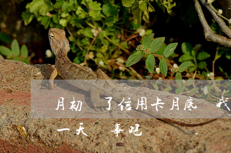月初還了信用卡月底說我逾期(還信用卡逾期一天沒事吧)