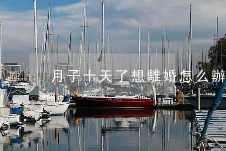 月子十天了想離婚怎么辦