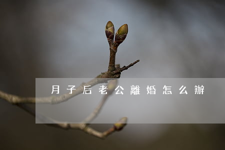 月子后老公離婚怎么辦