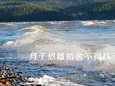 月子想離婚舍不得孩子怎么辦