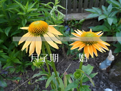 月子期間離婚寶寶歸誰