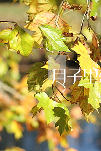 月子里想離婚