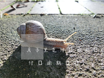 月子里支付寶逾期會(huì)被起訴嗎 支付寶逾期兩個(gè)月會(huì)被告嗎