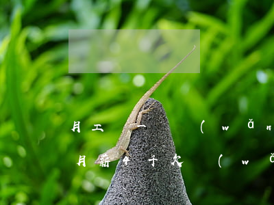 月工資一萬網(wǎng)貸欠了20多萬(月薪4千欠網(wǎng)貸20萬怎么辦)
