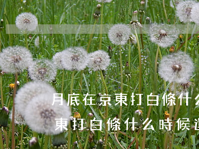 月底在京東打白條什么時候還款-月底在京東打白條什么時候還款啊