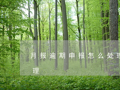 月报逾期申报怎么处理 月报逾期申报怎么处理